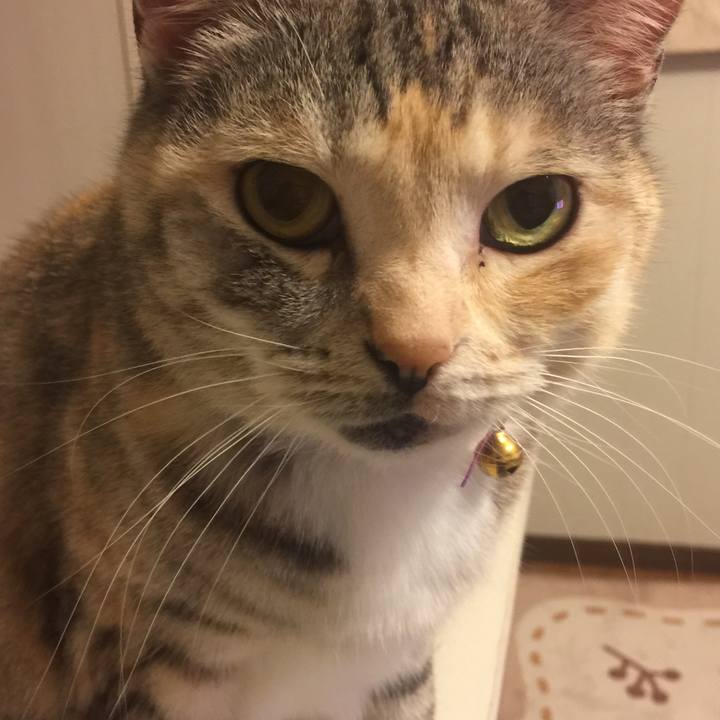 A038f951 37fc 4948 b68c dc8c271a6be2 1551626346627