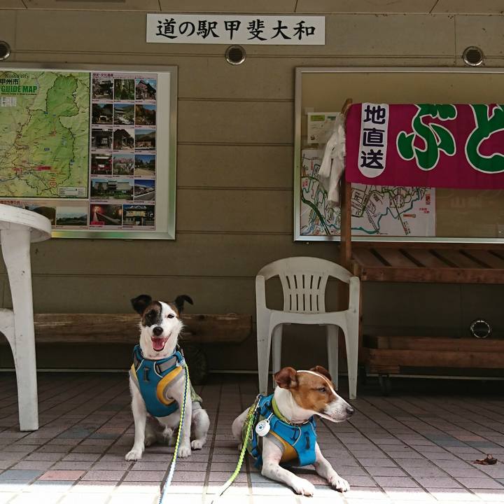 A0390b65 3660 4935 a075 1440d9920dbc 1567479348222