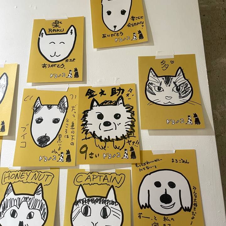 A0391543 73aa 494f 8306 d6cb242240ea 1761374108986