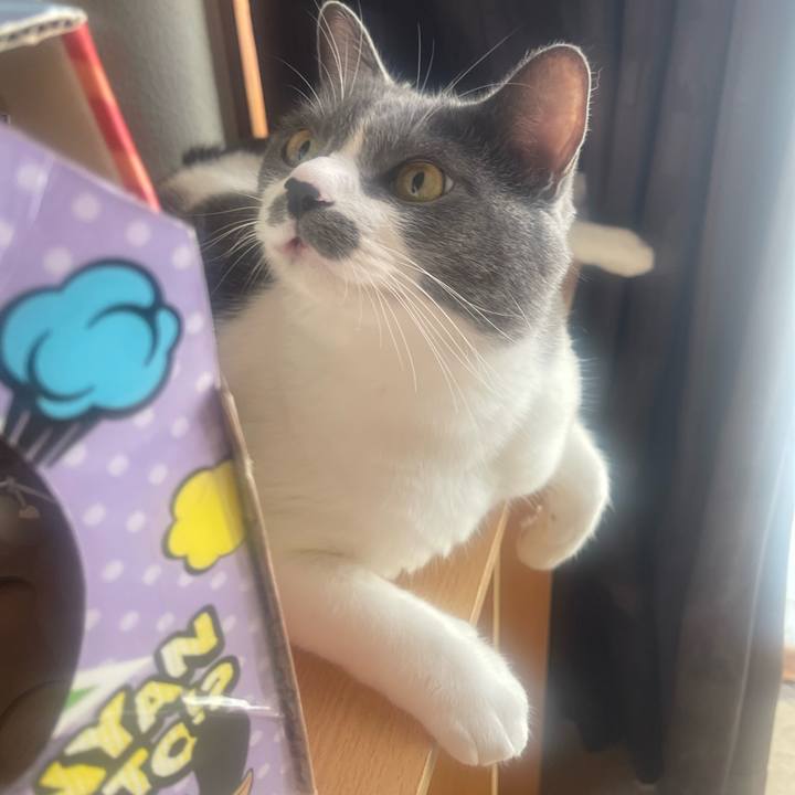 A0391a93 18d3 490b ae9e 7bcfb5eab8c3 1727044198084