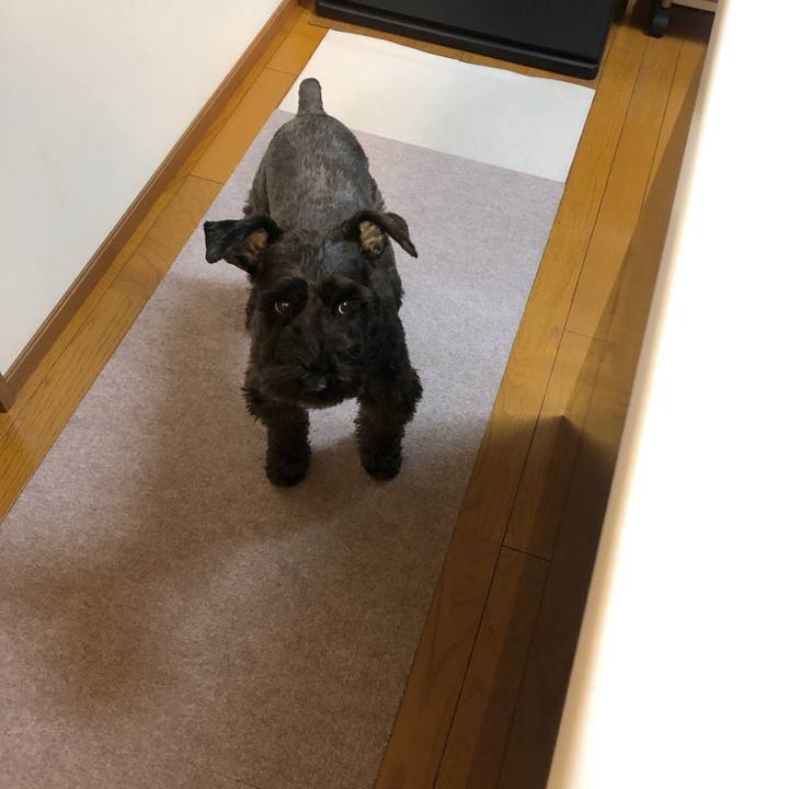 A0392a77 fc22 4726 b4b0 35f4376b9b3f 1700600202598