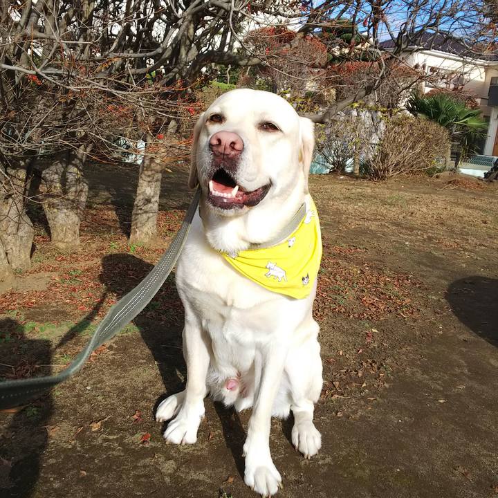 A03947c4 f435 4be3 883b 65b57ac01421 1544664929747