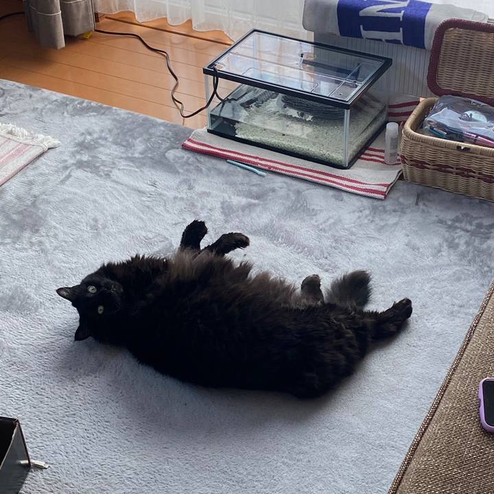 A0395155 a085 41d0 82a1 e8b5910cf210 1643697942213