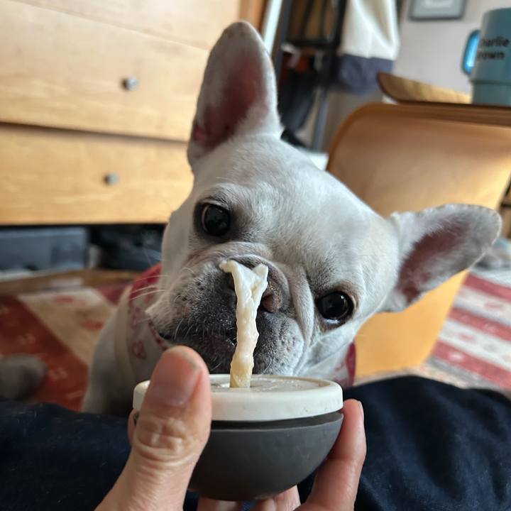 A0395f40 d7cb 46f1 9f32 6891d8da9052 1771378492752