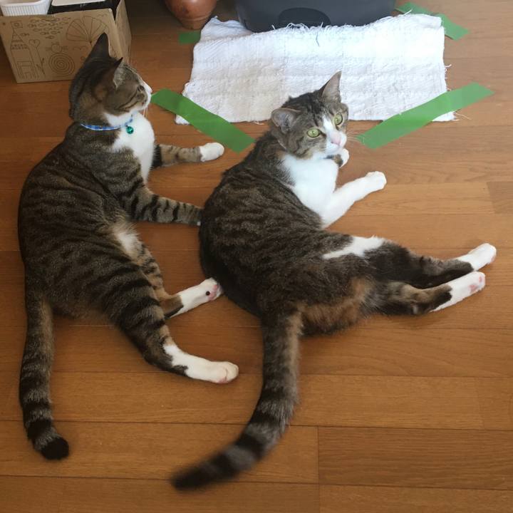 A0398c66 1fdb 4553 bc98 7aa711413d6e 1693094561611