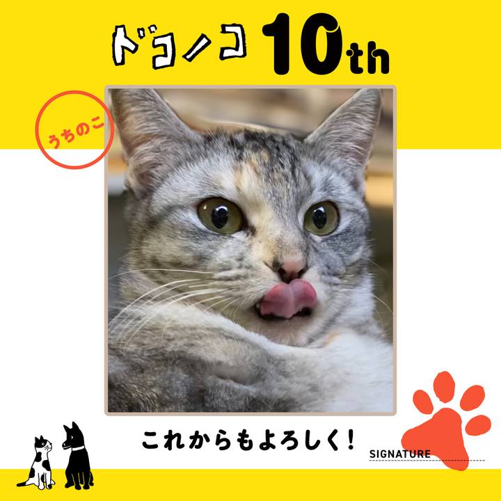 A03a0db9 aed1 4d45 9b01 2412761dc374 1781008359764