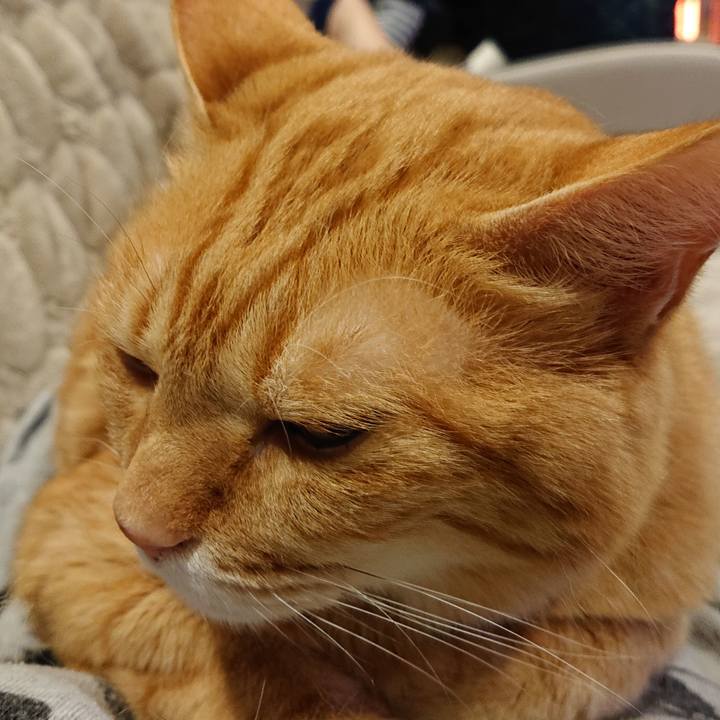 A03a5bf4 a3b4 47a0 a7d9 0cde6a9033cd 1586167909235