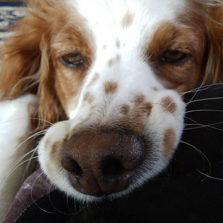 A03a73fe db15 4941 8ba1 f12a236a0af1 1524441932709