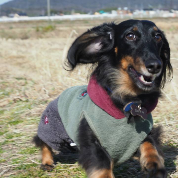 A03ab192 15a8 43f0 9ffd fd0d8b23c675 1581405195103