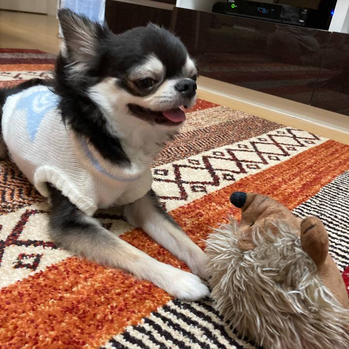 A03ab49d 4a74 4459 a363 ecd6ba9bcddd 1672761038372