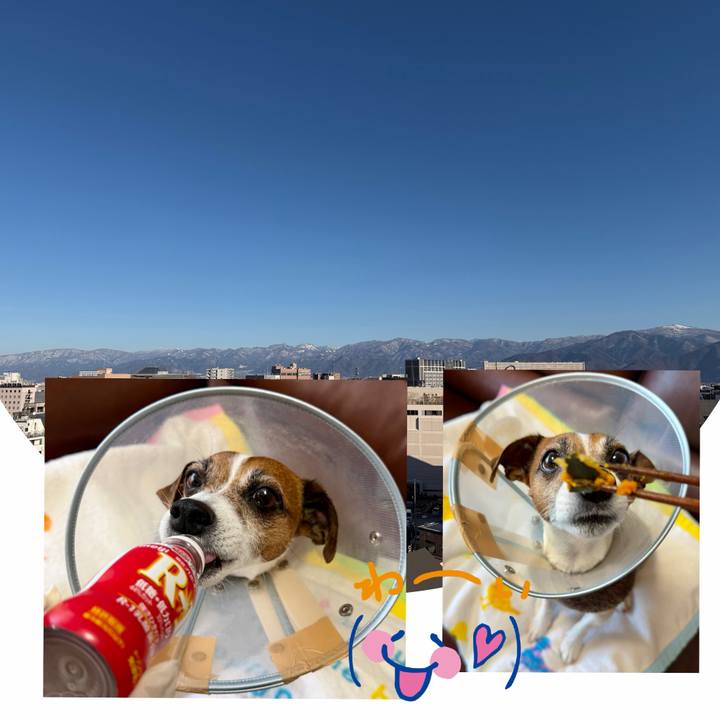 A03b0af8 d64f 43ed b6cd a6f0e125fdc2 1766121585854