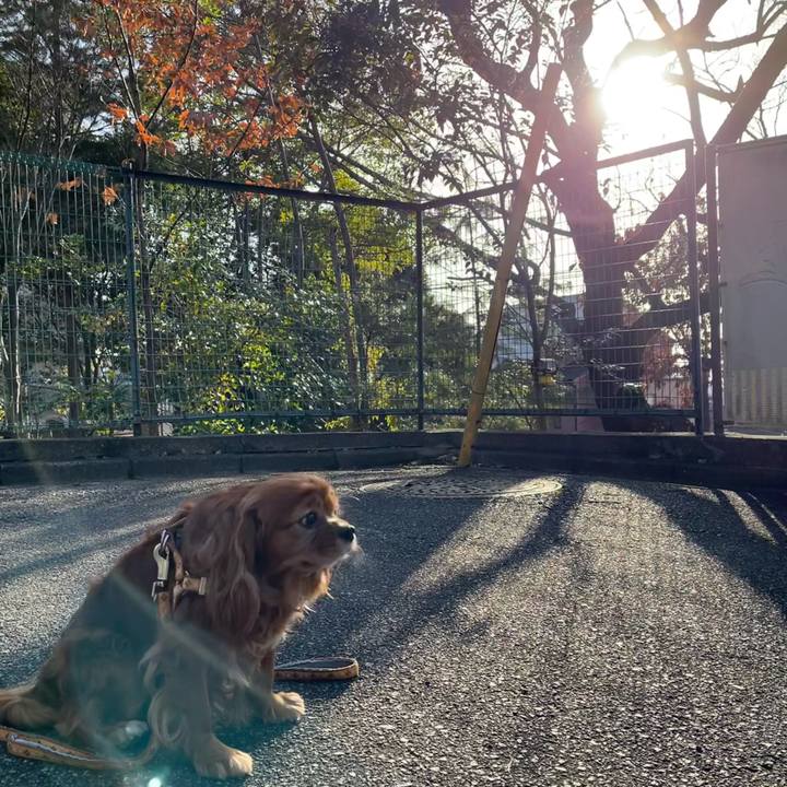 A03b122f 04da 4417 b2f4 ef8056d28de6 1676160829054