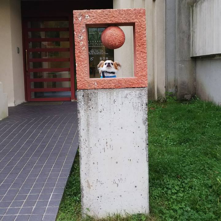 A03b1ae0 649c 4b84 a166 c28dc4c6c3e6 1537085081245