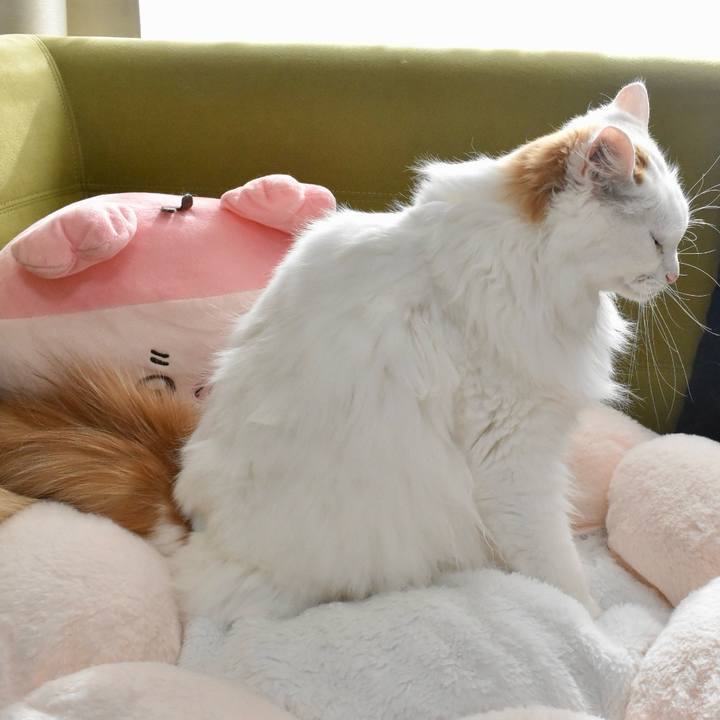 A03b1cf3 689c 4a75 afe3 c78805e894ed 1766115065268