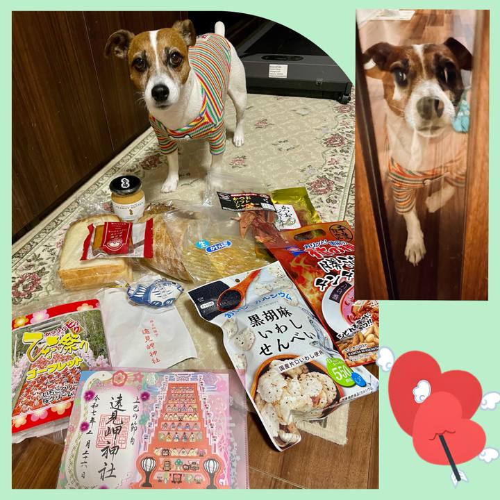 A03b2f13 2115 40fa bb9a 2a1a7b909831 1740579590070