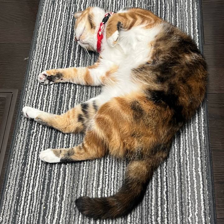 A03b3a77 076a 4cc9 a60d 035a23e6a540 1756732625283