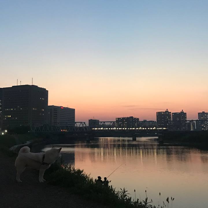 A03b61df 5dc4 4bb1 86bd 5ab7ce226019 1524390718616