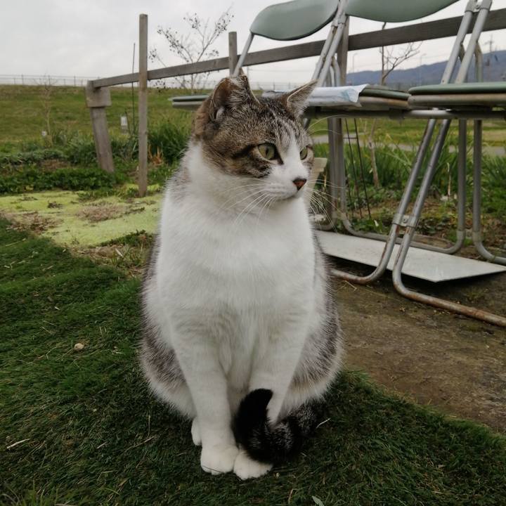 A03b8cf1 4d4f 4c07 8e07 936e2dabc335 1583288687497