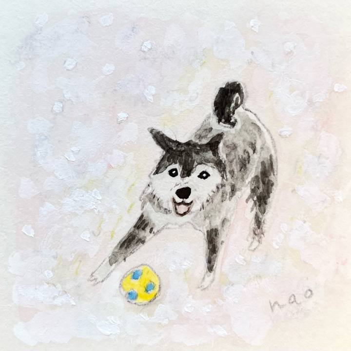 A03b9ecf 664e 4254 9f44 402fb7e9f0d9 1766989090340