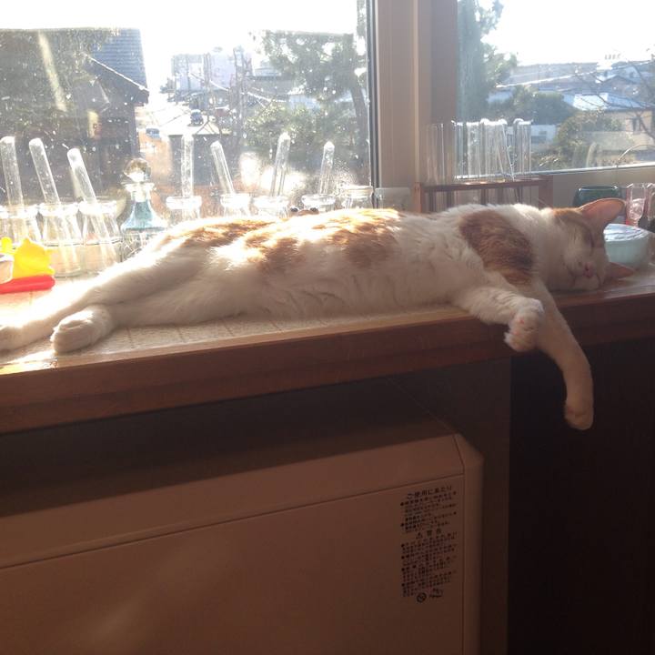 A03bd343 3531 4ae5 9b48 47c78c792f2f 1512261264485