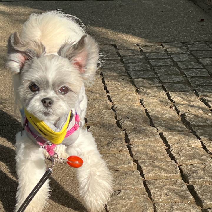 A03be3f8 b06e 4cd7 b2aa d3a39564c3ca 1688691312684