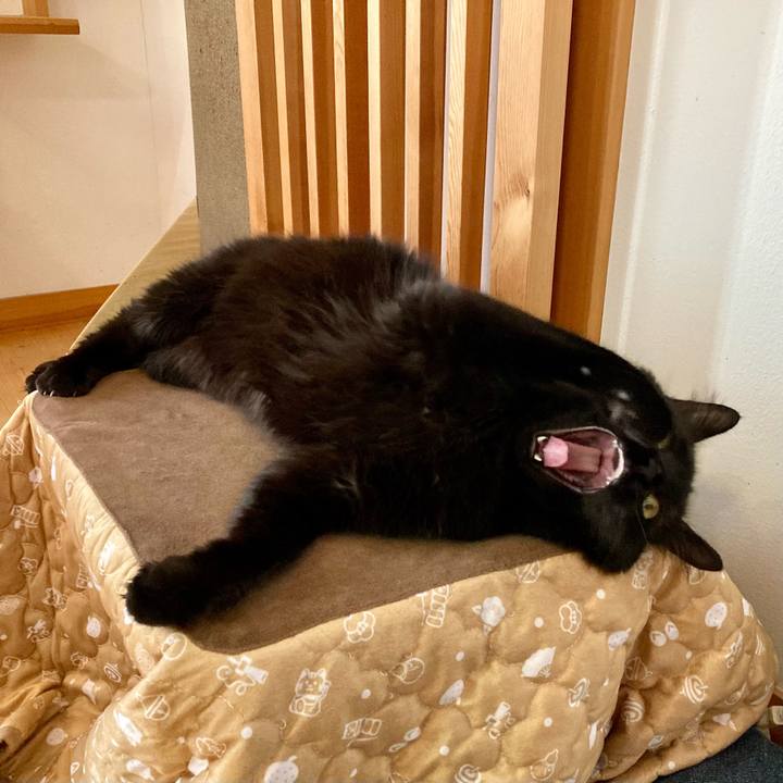 A03c055b 35a5 4868 aa54 7aee8e6ed5d2 1766282353990