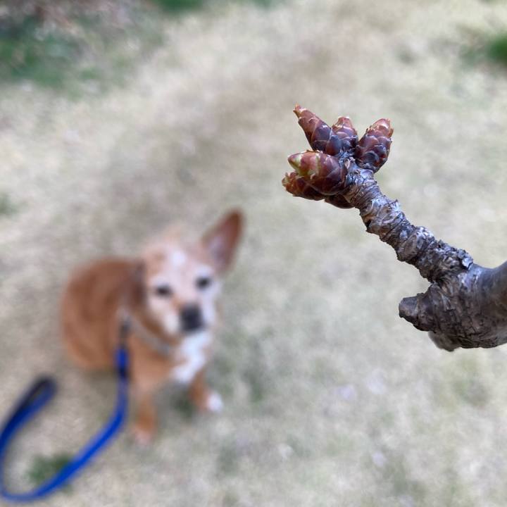 A03c0f6b ceca 49fb 877d da13904bdf7c 1710665855789