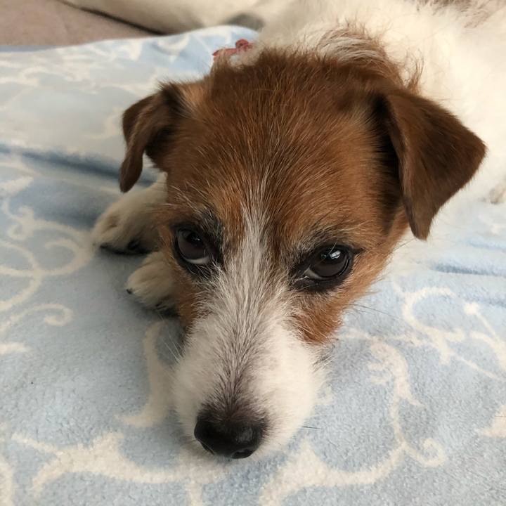 A03c18db 6ee8 4fbb 8fe2 f231f17b3658 1613129887100