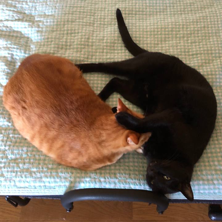 A03c2e08 168b 40c5 a365 099393c8b171 1725162566208