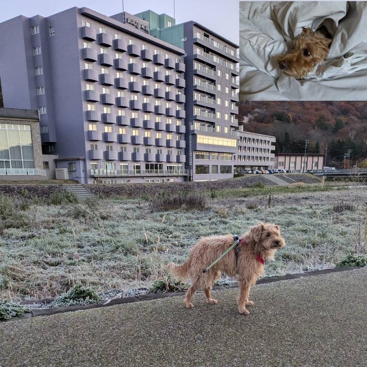 A03c5efc da81 4118 bc2e ca978c7274a8 1730193388885