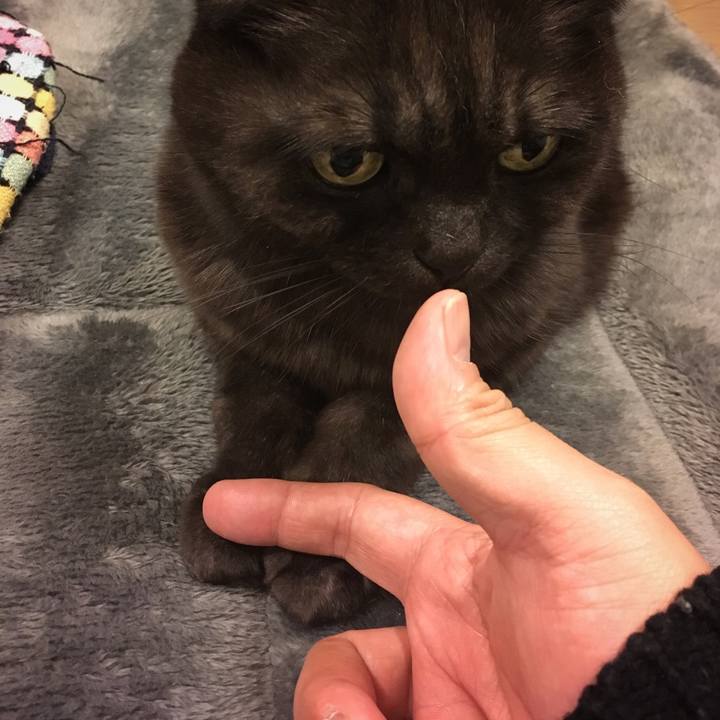 A03c8422 f8df 4bd3 818f 9e2be3d85930 1550370461295