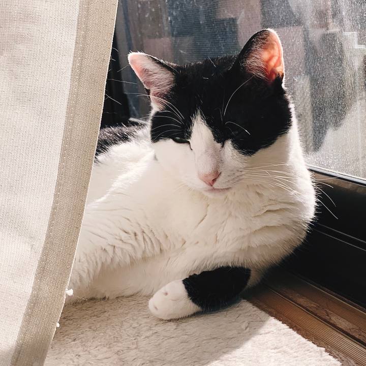 A03c884f f084 48d1 8573 18d5f8e3aa75 1556156229885