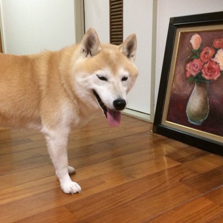 A03c96b1 41d4 49e7 b69b 11578fd3cd28 1582556151721