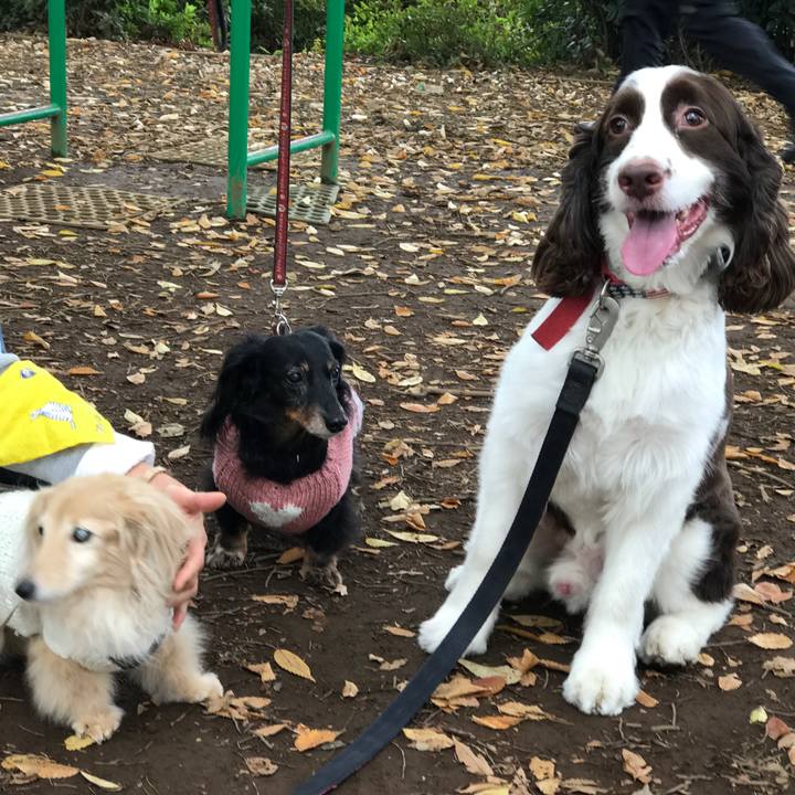 A03c9a91 14ff 44ce 9804 1dd17f24262e 1509343880017