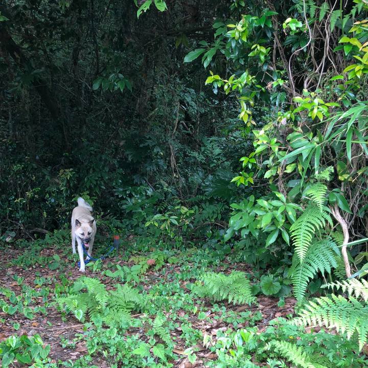 A03cf7b5 099e 4ed9 ba21 f20abc0407e2 1529750140774