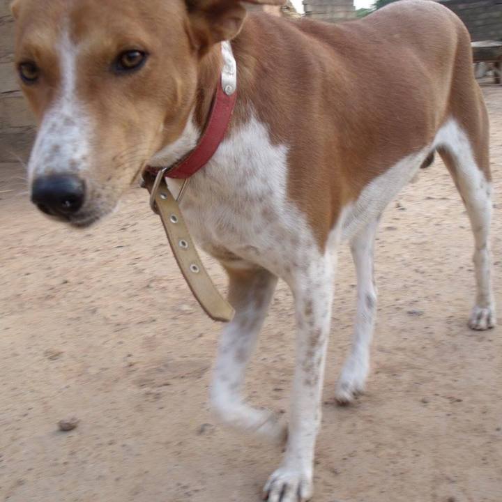 A03cfd72 f115 4397 91eb 4d382d731c5a 1508326286284