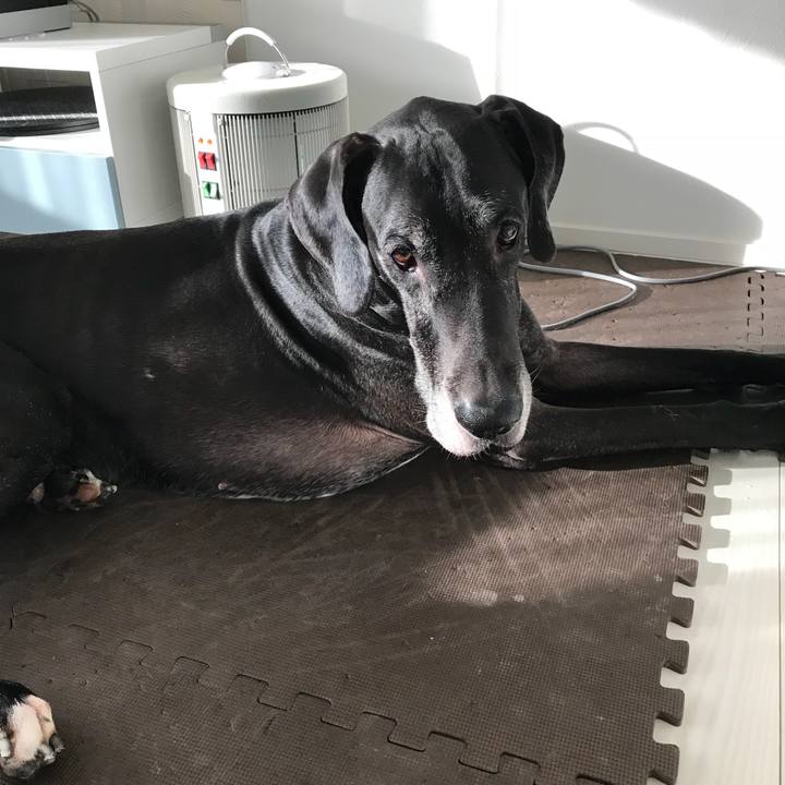 A03d284a dedc 4f02 bced be973d6022a0 1510008588375