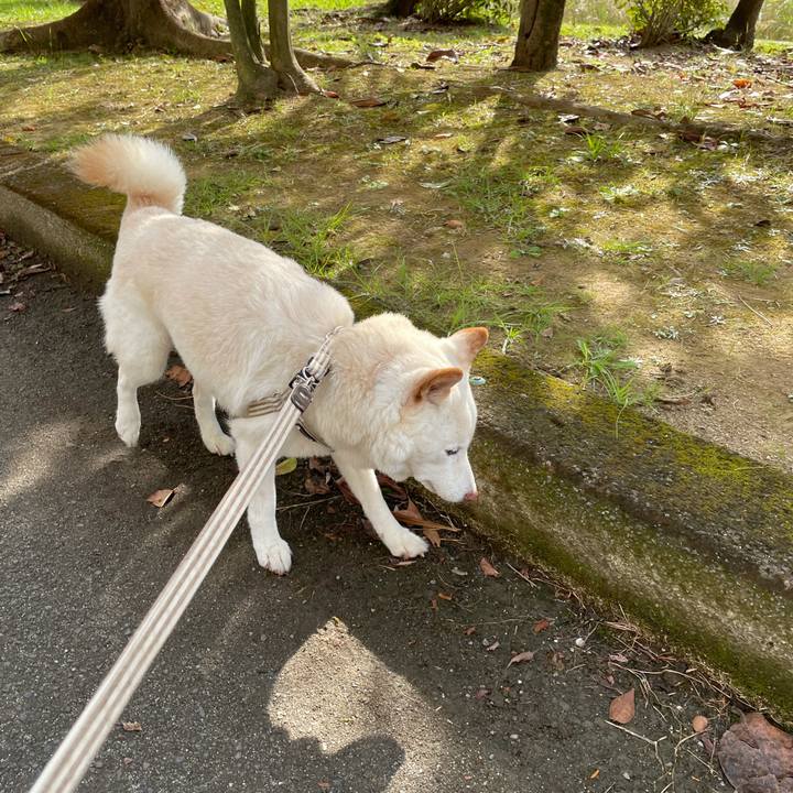 A03d77f9 77c4 4117 b4b4 681ba217c0bc 1634868486714