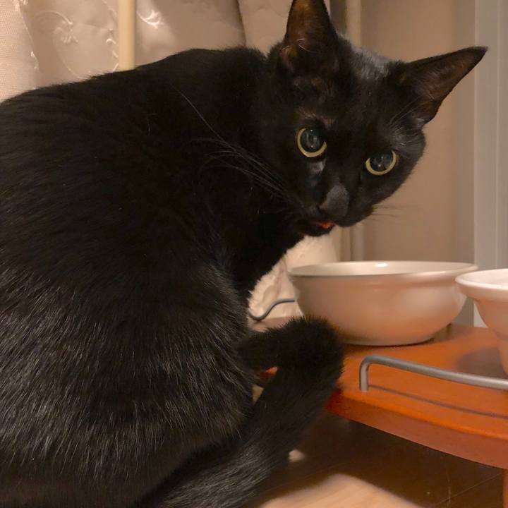 A03d81d9 efac 4d6e 973b c3ea0e2d42e1 1549371535329