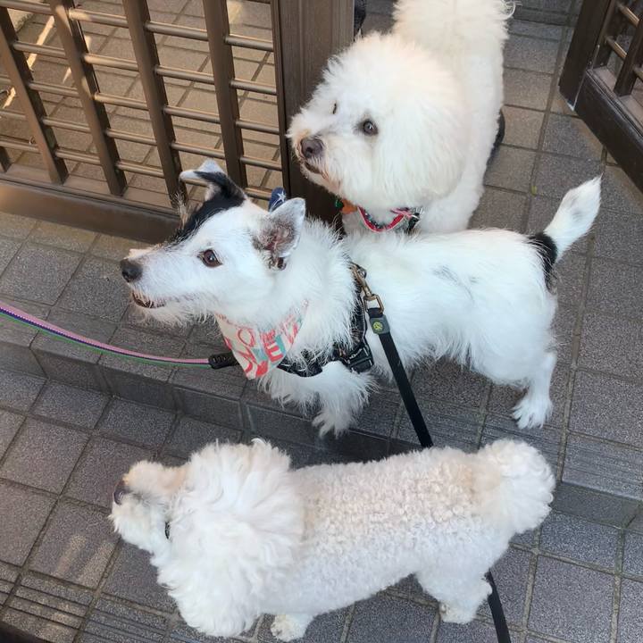 A03d9b0c 475d 4dea a246 a63810a03f5f 1755558347557