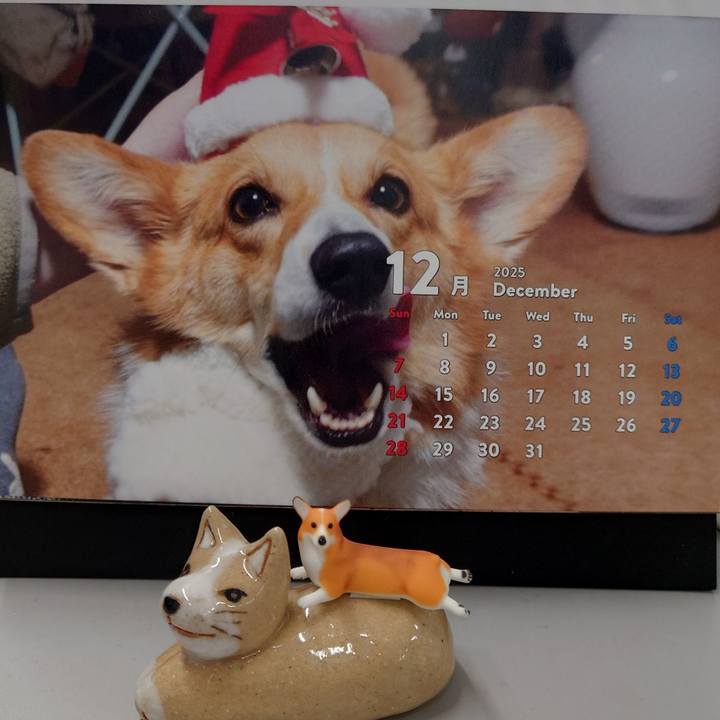 A03d9d3f 0342 47a4 add5 c532b0d8a4b6 1764550088683