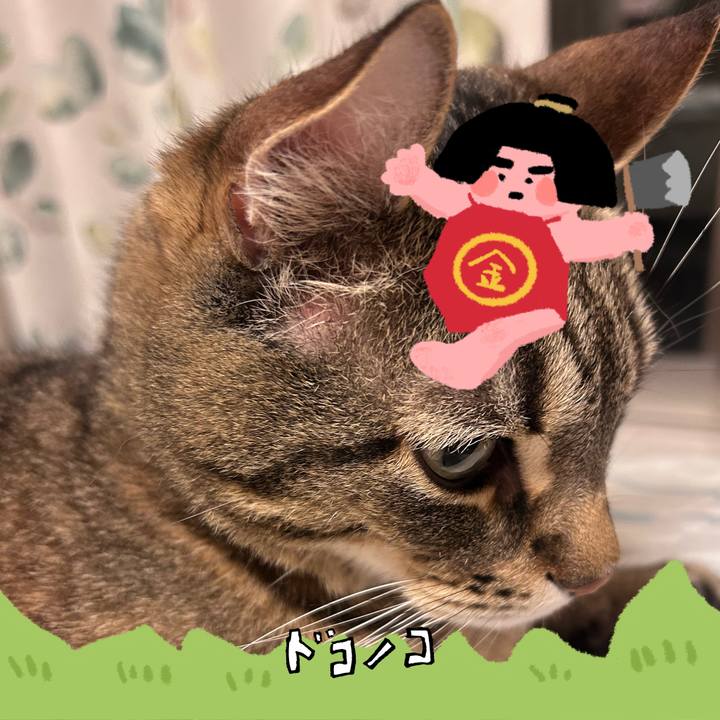 A03de0b2 aa2f 42c9 8aa1 c3b86c15cd86 1779510926678