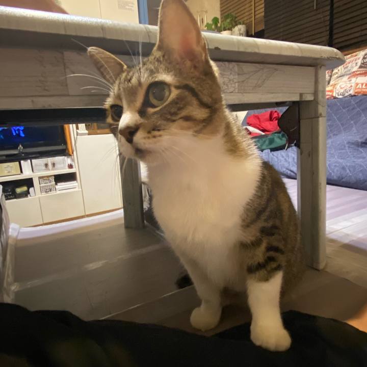 A03dec0b 63d7 44a8 9cf2 45d8724634bb 1631100977529