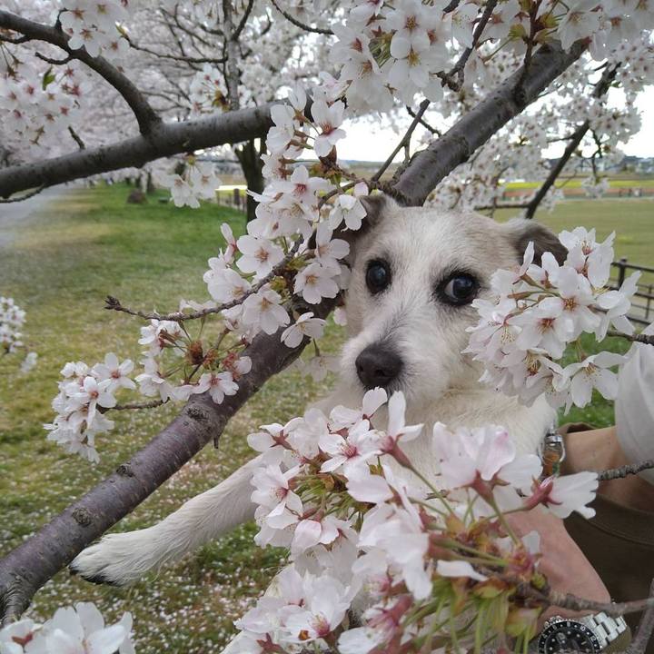 A03defea 7aef 4655 9fe8 5e6f5e94ecd8 1680785924460