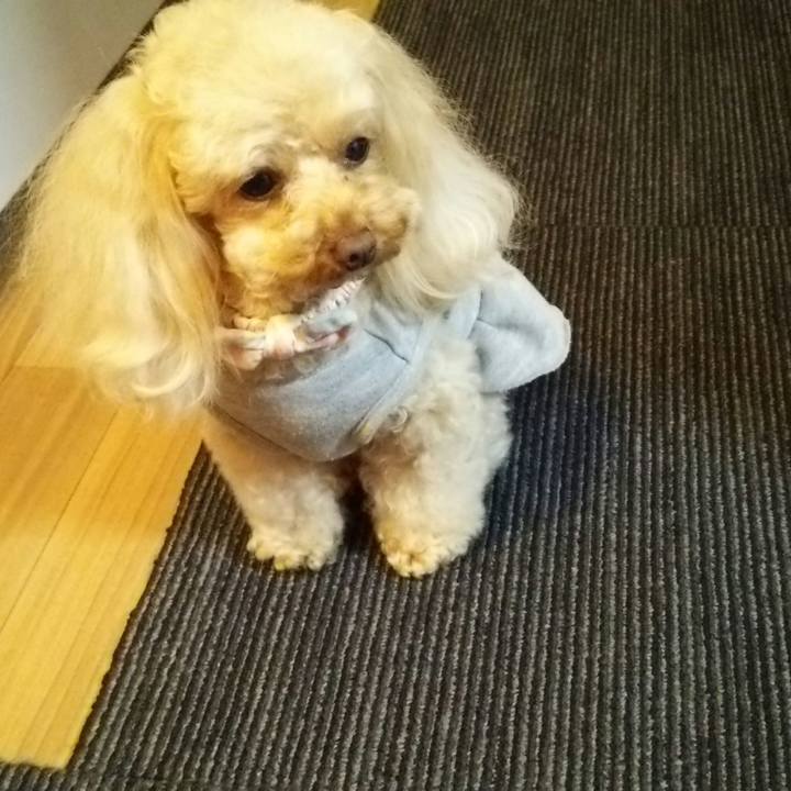 A03dfcf5 70df 4ae1 9c6b c86a78400bd5 1523446317274