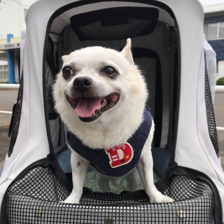 A03e6f0b b55f 4c15 939c 83641231d360 1633661546740