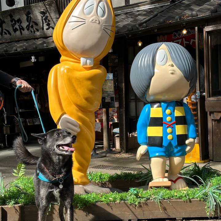 A03e8d70 7d25 4c59 bd39 b3db8c1f431b 1697019830727