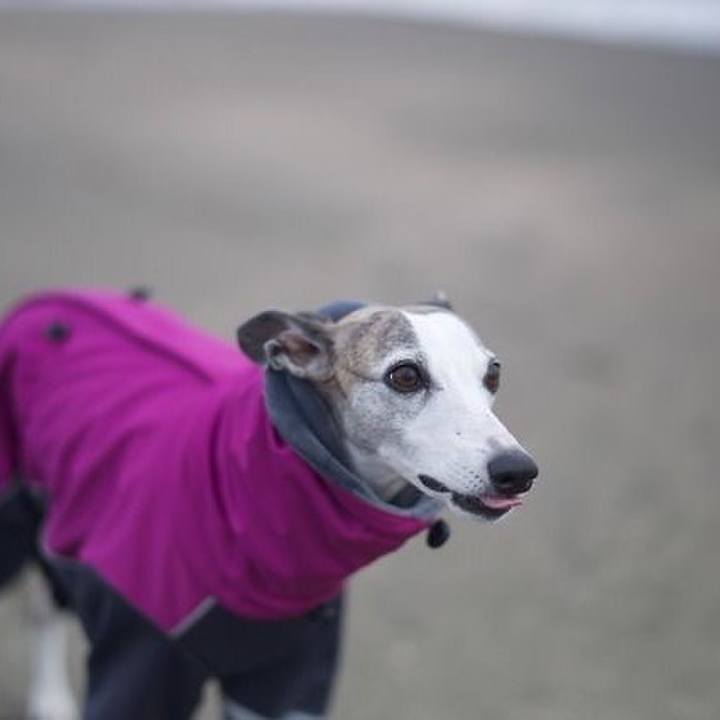 A03e9699 5360 41ff a5c3 c1ac6a722222 1517231225107