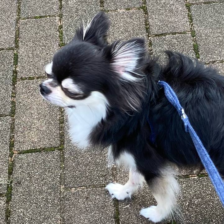 A03eb3c8 a56a 4c78 9248 2e5598c10e30 1662272349457