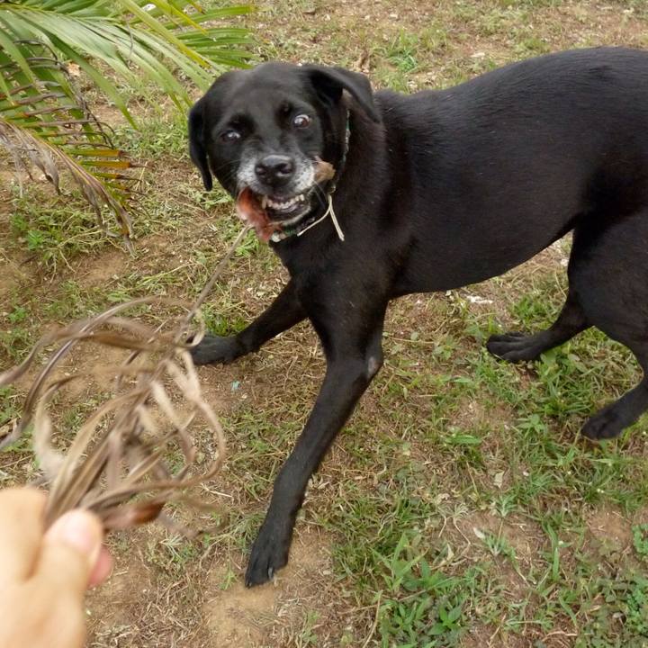 A03eb5b8 e7d4 48ea b9fa 8044cd199836 1526216558746